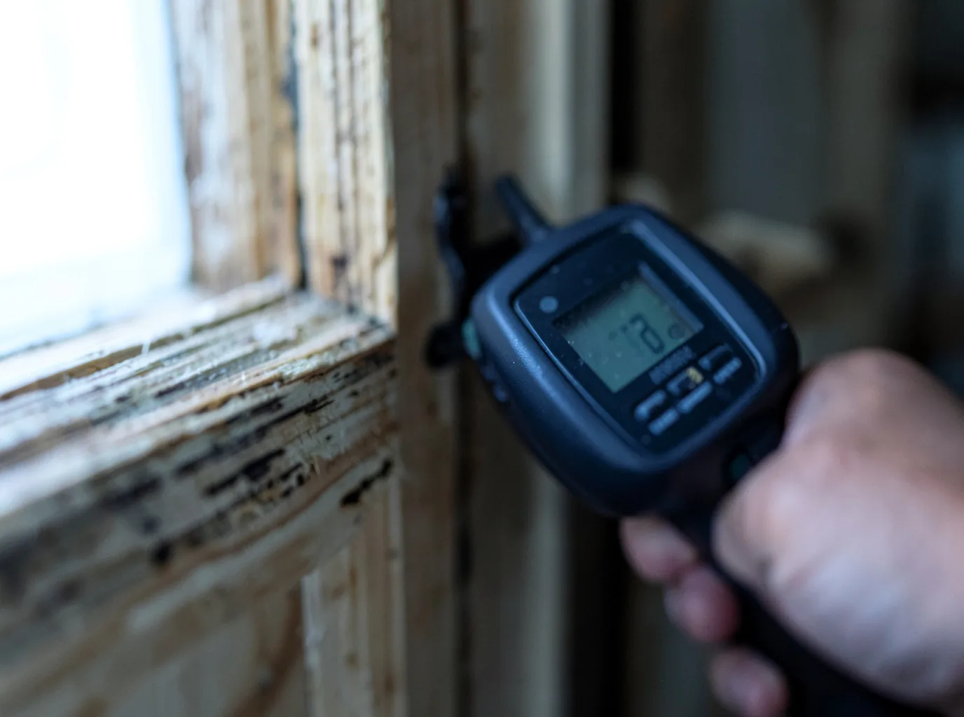 Commercial Water Damage Restoration in Little Neck, NY